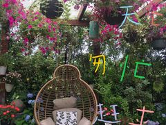 -大隐花事(熊婆婆的花园店)