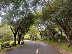 -深圳国际园林花卉博览园