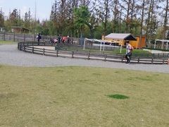 -前小桔亲子创意农场·草莓采摘·露营烧烤
