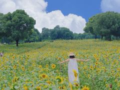 -苏州湾体育公园