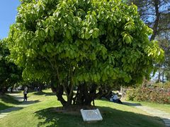 -白云山风景名胜区