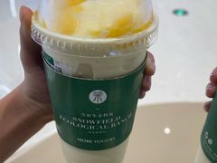 -茉酸奶(春熙路店)