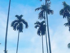 -三亚亚龙湾希尔顿酒店