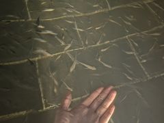 -山湖温泉