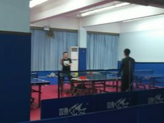 -大凤凰乒乓球馆