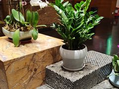 -黔蘑菇四季餐厅(观山湖店)