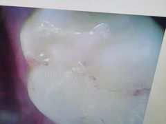 -精益口腔(牡丹园店)