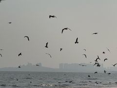 -ChanDu躔度咖啡(灯塔店)