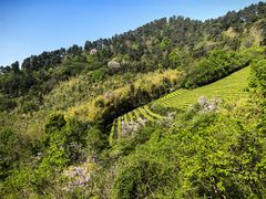 -敬亭山风景名胜区