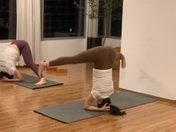 点击看大图 -Y+U遇瑜伽·普拉提