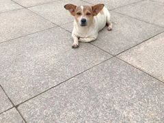 -青岛大学(金家岭校区)