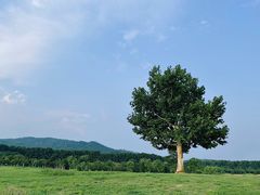 -钟山体育运动公园