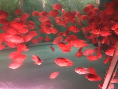 -福州罗源湾海洋世界旅游区