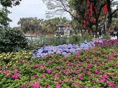 -荔湾湖公园