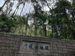 -瑶琳仙境