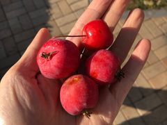 -春晖园度假酒店温泉