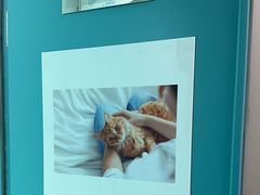 -北京观赏动物医院·24小时大型综合·猫专科·异宠专科