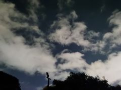 -勐丽梦兰傣味餐厅