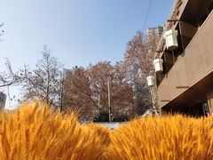 -张福记(陇海中路店)