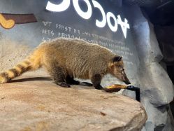 -Zoolung Zoolung动物主题公园(海信广场店)