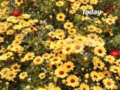 -春晖园度假酒店温泉