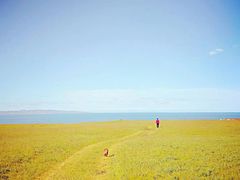 -青海湖国家重点风景名胜区