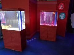 -重庆欢乐海底世界
