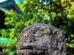 -报恩寺(平武县)