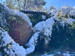 -八大山人梅湖景区