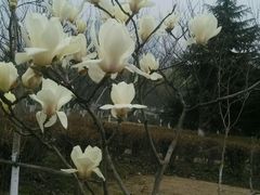 -白塘生态植物园