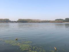 -丁香湖公园