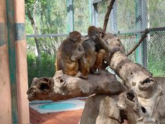 -水上乐园·欢乐世界