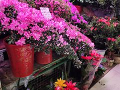 -三旗百汇商品城