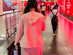 -大望路(地铁站)