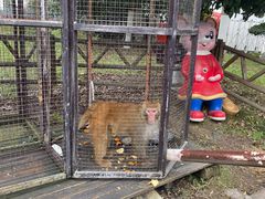 -武汉紫薇都市田园