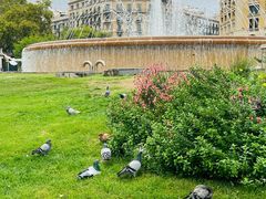 -加泰罗尼亚广场