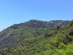 -莫干山风景区