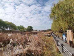-太湖湖滨国家湿地公园-停车场