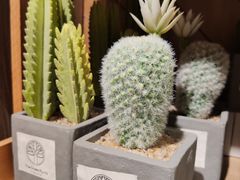 -TheGreenParty(槐房万达店)