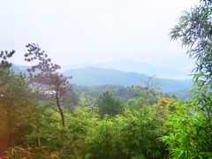 -玉苍山国家森林公园