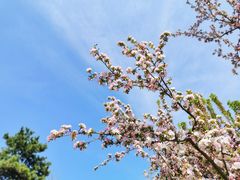 -海棠花溪(元大都城垣遗址公园)