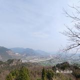 🌸花游成都 49🌸成都周边就能看到👀丹霞地貌