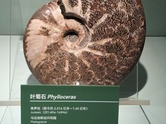 -甘肃省博物馆
