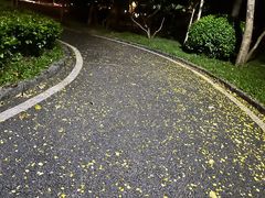 -深圳湾公园(南山区)