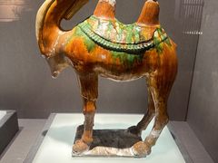 -景德镇中国陶瓷博物馆