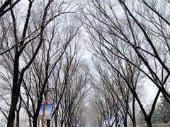 -野鸭湖国家湿地公园