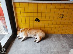 -22cafe