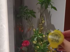 -世外桃源水疗会(皇庭彩园店)