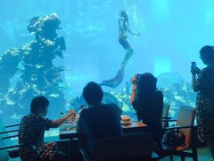 -海棠湾洲际-涛·海底餐厅·美人鱼·自助餐·海底隧道
