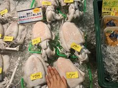 -海鮮寿司とれとれ市場